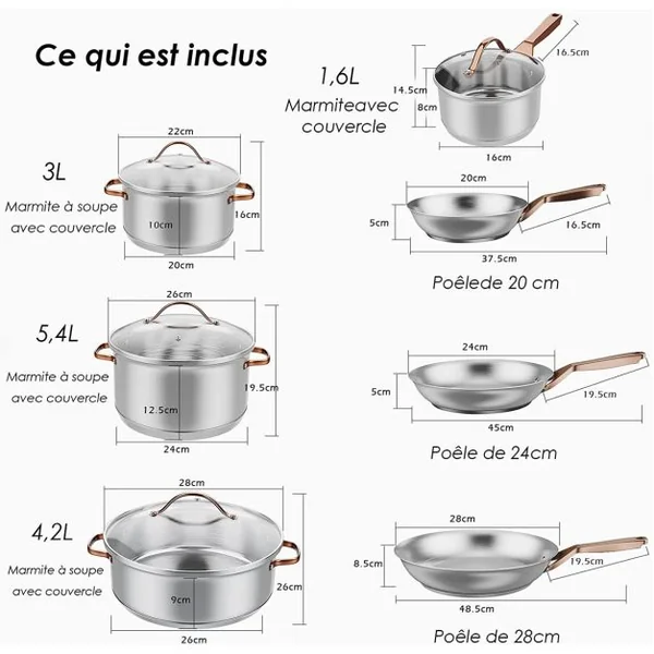11 Éléments de Batterie de Cuisine Casseroles et Poêles Professionnelles avec Couvercles Transparents