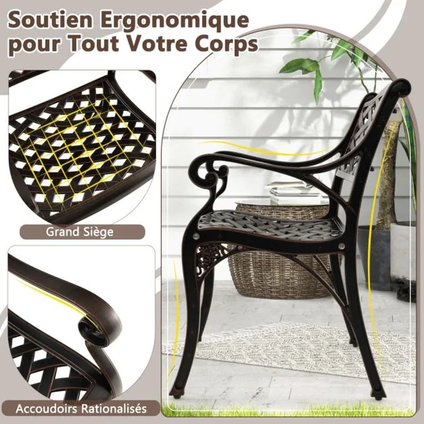 2 Chaises en Fonte d'Aluminium Chaises de Salle à Manger Toutes Saisons Accoudoirs et Sièges Incurvés Fauteuils Bistrot en Métal Bronze