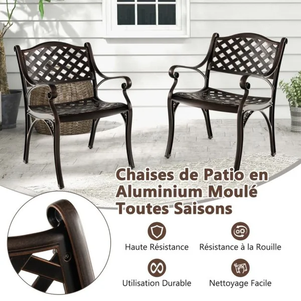 2 Chaises en Fonte d'Aluminium Chaises de Salle à Manger Toutes Saisons Accoudoirs et Sièges Incurvés Fauteuils Bistrot en Métal Bronze