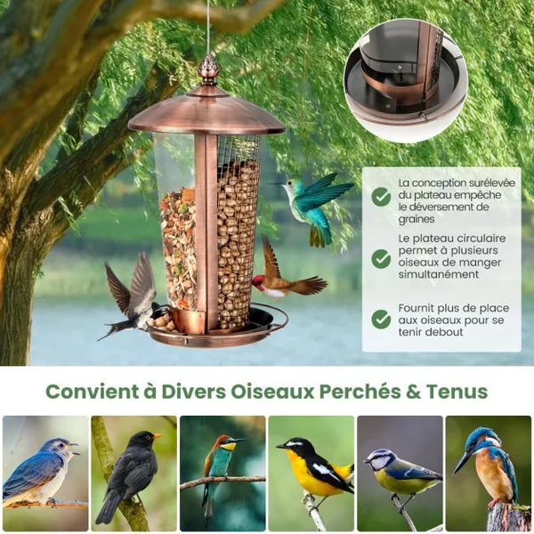 2 en 1 Mangeoire à Oiseaux Suspension en Métal Capacité 1L Mangeoire pour Oiseaux Sauvages Extérieure avec Trous de Drainage