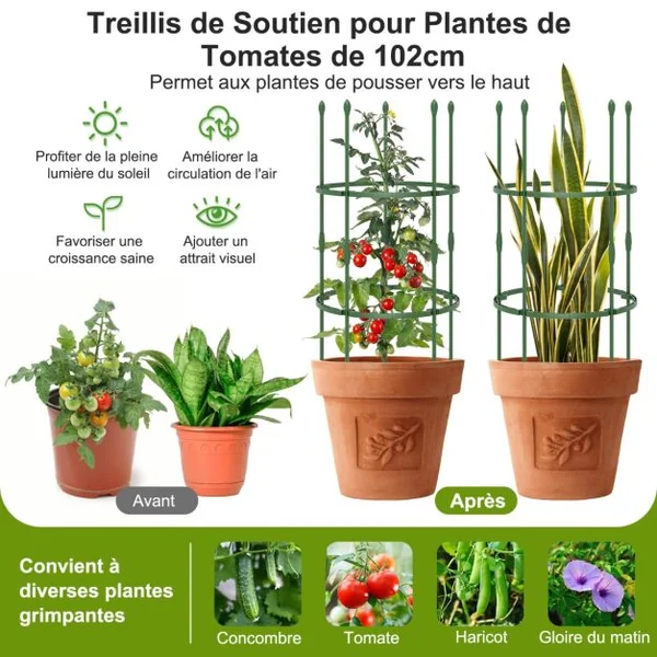 3 Treillis Obélisque Support pour Plantes Grimpantes en Métal Réglable avec Clips Attaches Cage et Supports 2 en 1 20 x Attaches Végétable Vert