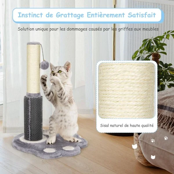 52 CM Poteau Griffoir pour Chat avec Colonne en Sisal Naturel Plaque de Massage Boule Suspendue et Jolie Plate-forme Gris