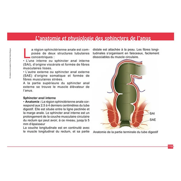 Anatomie simplifiée du périnée féminin
