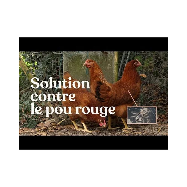ANDROLIS® - Lutte biologique contre le pou rouge