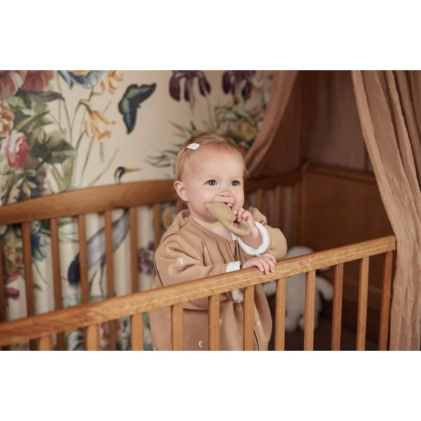 Anneau de dentition en caoutchouc Teddy Bear Biscuit