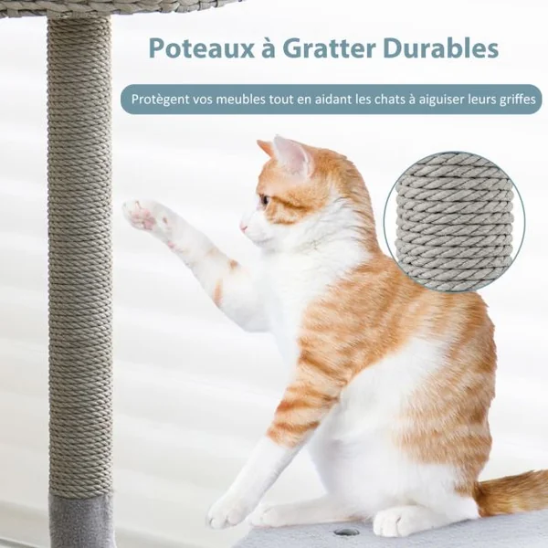 Arbre à chat 106 CM Perchoir Condo et 2 Balles Suspendues Tour à Chat Poteaux de Soutien en Métal et Coussin Amovible Gris