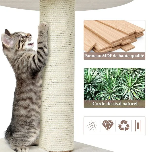 Arbre à Chat 117CM en Bois avec Plate-Forme Griffoirs et Coussins Lavables Centre d'Activités pour Chat Chaton