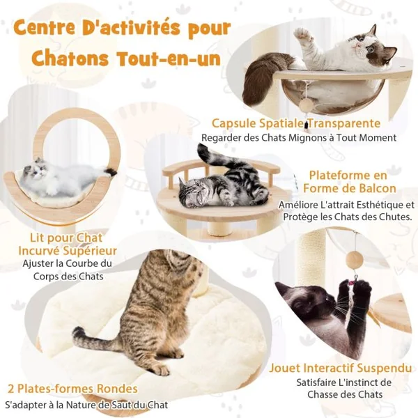Arbre à Chat 146 cm en Blocs de Construction Tour à Chat en Bois Chêne 4 en 1 avec Condo & hublot Griffoir en Sisal Plateforme Rembourrée