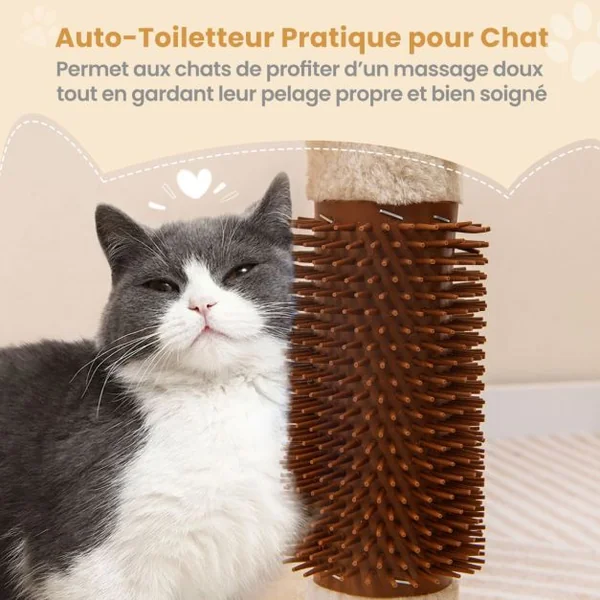 Arbre à Chat 2 Niveaux avec Hamac Doux Lit Douillet en Peluche Balles Suspendues Boule à Ressort Poteau à Griffer en Sisal Auto-brosseur