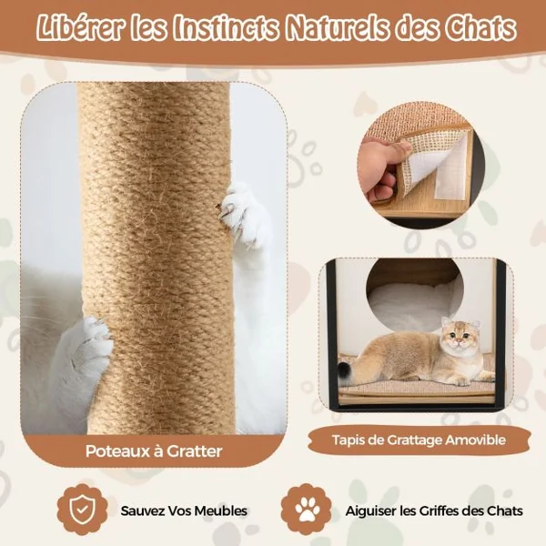 Arbre à Chat 66CM Griffoir Pompon Suspendu Coussin Amovible Niche Repose-pieds Réglables Cadre en Métal Marron