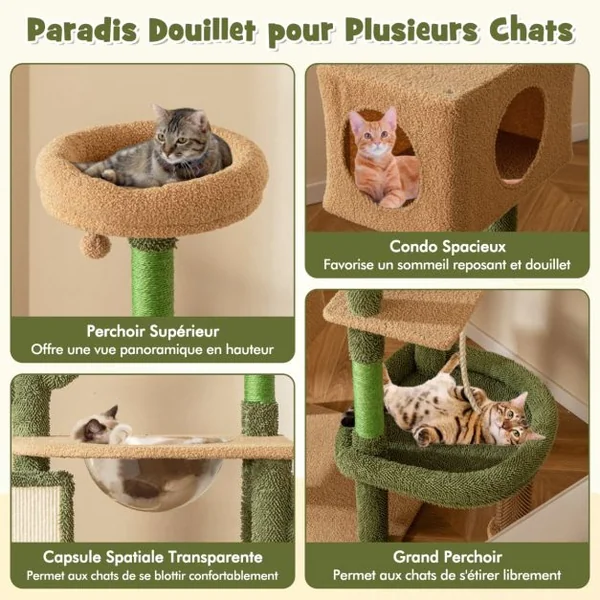 Arbre à Chat Cactus 150Cm Tour pour Chat à Plusieurs Niveaux Griffoirs Planche Corde en Sisal Condo Perchoir en Peluche Vert