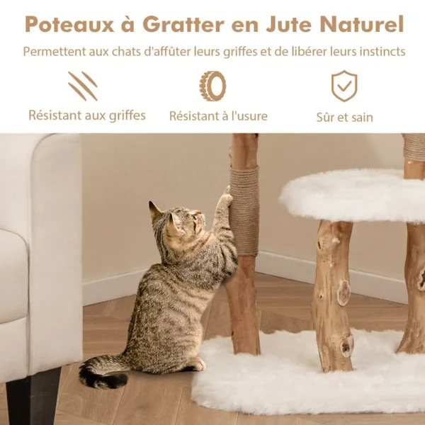 Arbre à Chat en Bois Massif Tour pour Chat en Bois avec Perchoir Poteaux à Gratter en Jute Naturelle Balle Suspendue Peluche Douce Blanc