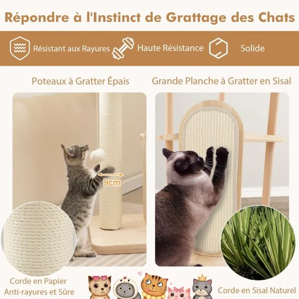 Arbre à Chat en Bois Pour Chats Tour à Chat Moderne à Plusieurs Niveaux Planche à Gratter Poteau en Sisal Perchoir Rembourré