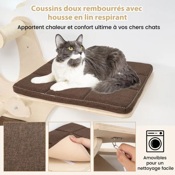 Arbre à Chat Mural Etagères Murales pour Chat avec Perchoir Hamac Griffoirs et Tapis en Sisal Coussins Rembourrés Lavables Chats Marron