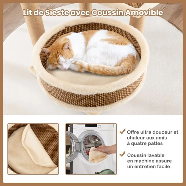 Arbre à Chat à 4 Niveaux Balle Suspendue Poteaux à Gratter Perchoir Supérieur Plateformes Lit Spacieux Tapis en Peluche Amovible
