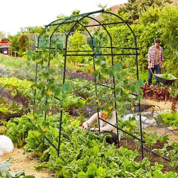 Arche de Jardin en Métal 230CM pour Plantes Grimpantes Treillis pour Concombres Revêtu PE Décoration pour Commémoration Fête d'Anniversaire Noir