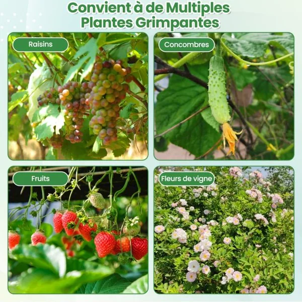 Arche de Jardin en Métal 230CM pour Plantes Grimpantes Treillis pour Concombres Revêtu PE Décoration pour Commémoration Fête d'Anniversaire Noir