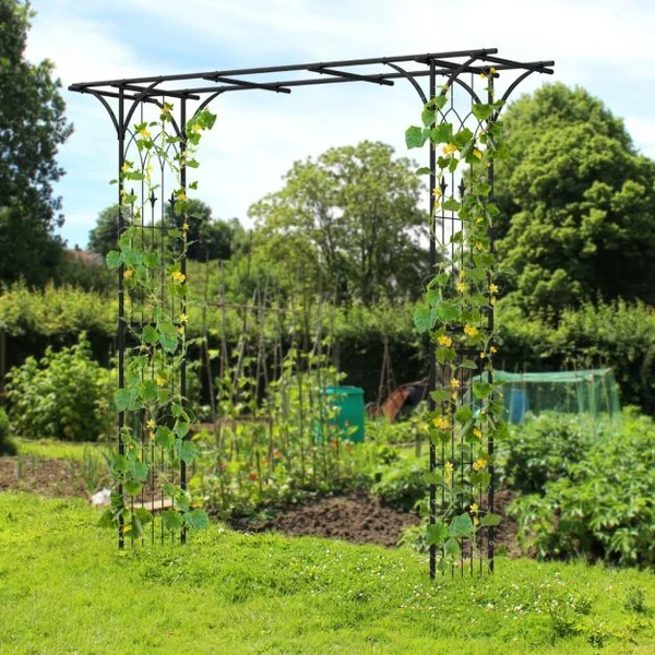 Arche de Jardin en Métal pour Plantes Grimpantes Arceau à Rosiers en Treillis Extérieur 205x52x206CM Support de Toile de Fond Élégant Vert