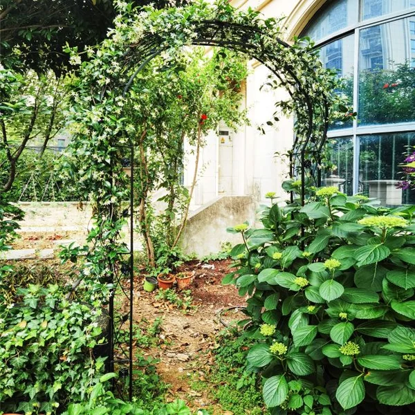 Arche de Jardin en Métal pour Plantes Grimpantes Treillis de Jardin en 2 Demi-arcs Extérieur 150x39x250CM Arche Décorative pour Fête Noir