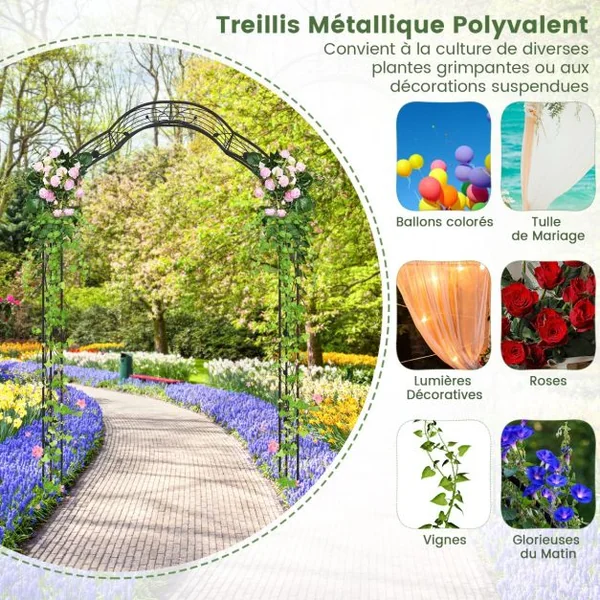Arche de Jardin en Métal pour Plantes Grimpantes Treillis de Jardin en 2 Demi-arcs Extérieur 150x39x250CM Arche Décorative pour Fête Noir