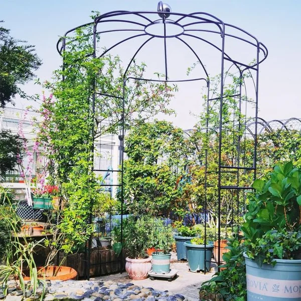Arche de Jardin pour Plantes Grimpantes en Forme de Cage à Oiseaux Tonnelle de Fleurs en Métal 206x206x286CM avec Crochet de Suspension Noir