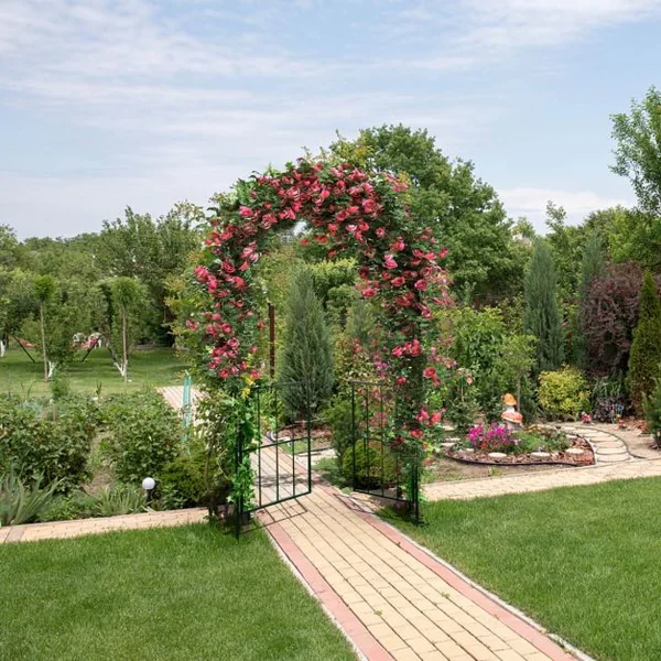 Arche en Treillis de Jardin 230CM avec Porte pour Plantes Grimpantes Arceau à Rosiers en Métal Décoration Noir