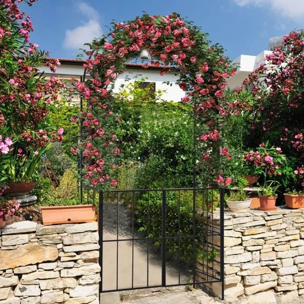 Arche en Treillis de Jardin 230CM avec Porte pour Plantes Grimpantes Arceau à Rosiers en Métal Décoration Noir