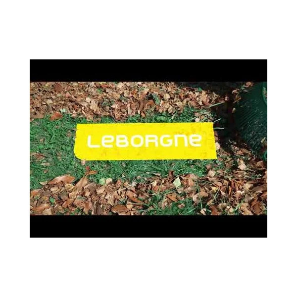 Balai à gazon XL 27 dents manche en bois LEBORGNE