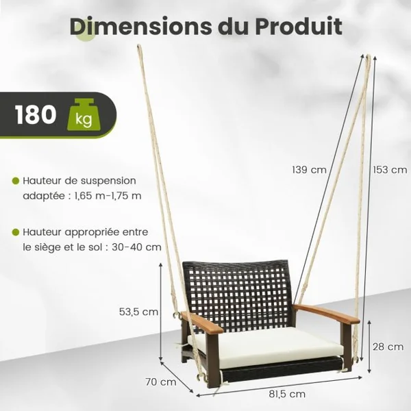 Balançoire Suspendue de Porche en Rotin Coussin de Siège Accoudoirs en Bois d'Acacia 2 Cordes de Suspension en Chanvre Cadre en Métal Blanc