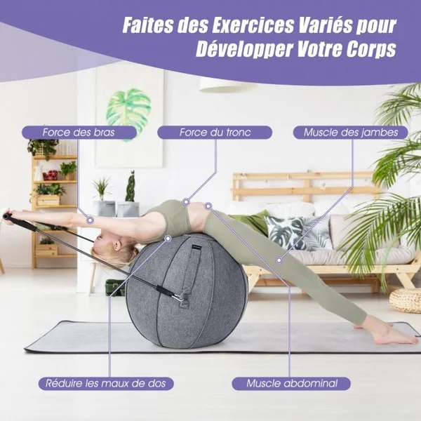 Ballon de Pilates 65CM avec Housse en Feutre Doux 2 Bandes de Résistance Poignées et Pompe Ballon Gym pour Maison Gris