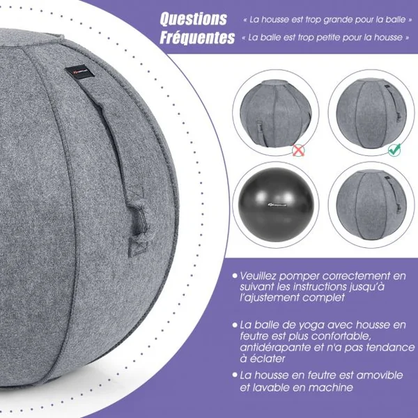 Ballon de Pilates 65CM avec Housse en Feutre Doux 2 Bandes de Résistance Poignées et Pompe Ballon Gym pour Maison Gris
