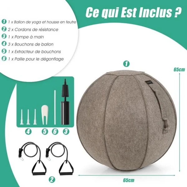 Ballon de Pilates 65CM avec Housse en Feutre Doux 2 Bandes de Résistance Poignées et Pompe Ballon Gym pour Maison Marron