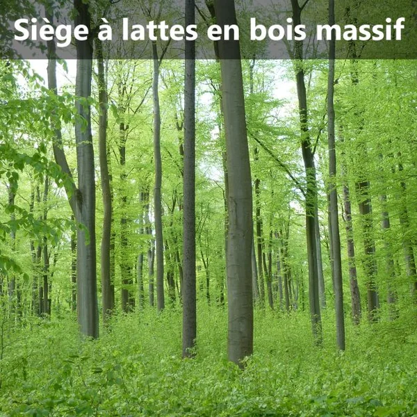 Banc de Jardin avec Bandes en Bois Pieds en Fer Dossier Ergonomique et Accoudoirs Incurvés pour Parc Cour Charge Max 208 KG