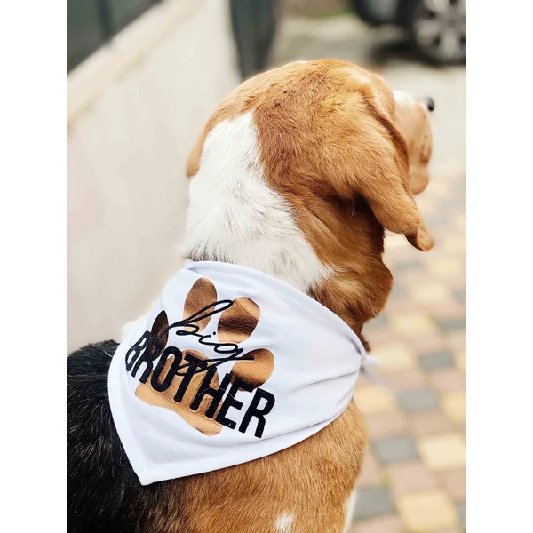Bandana personnalisé pour chien ou chat – “Big Bro” en approche !