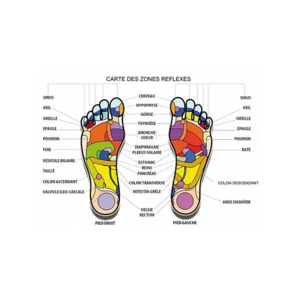 Boules de massage pour les pieds - Solejoy (1 Moule en liège et 2 boules en steatite)