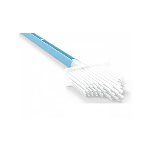 Brosses pour frottis à usage unique, non stérile (la boîte de 50)