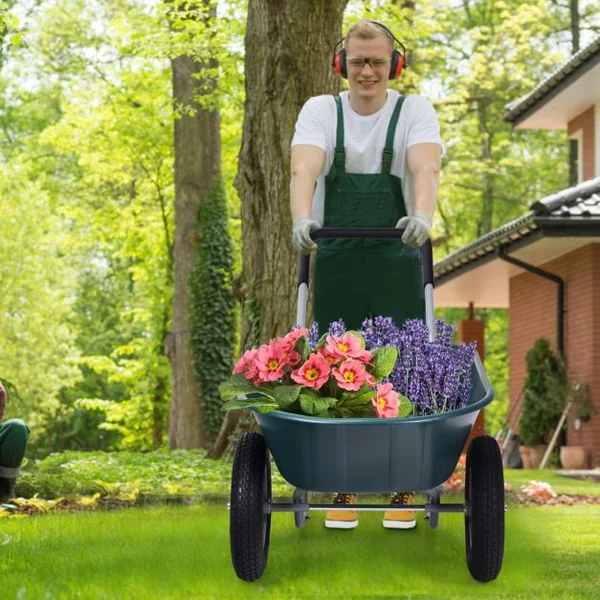 Brouette de Jardin 2 Roues Brouette de Jardin Résistante en Fer avec Pneus Ø35cm Charge Max 100KG pour Jardinage/Maçonnerie Noir/Vert