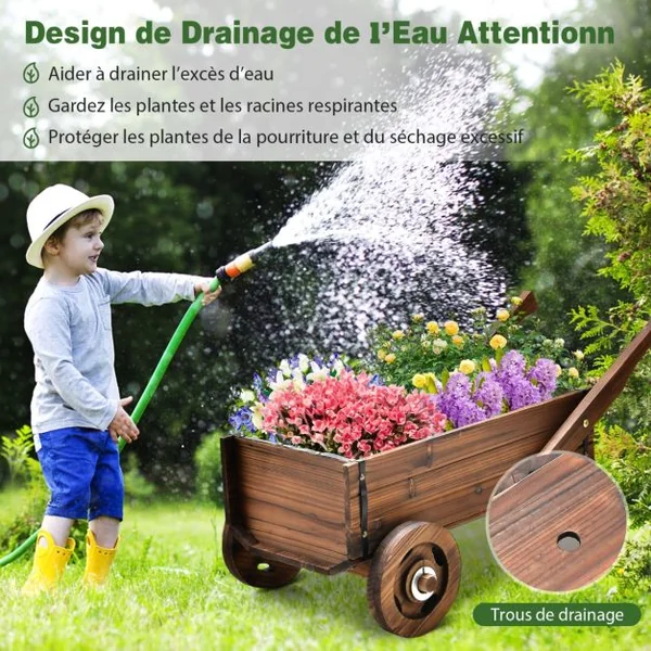 Brouette en Bois Décorative avec 2 Roues Poignées Trou de Drainage Support de Pot de Fleurs Style Rustique Jardin Balcon