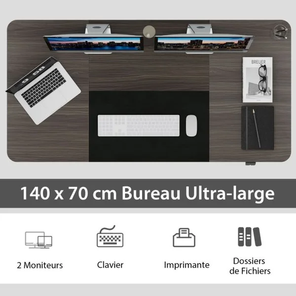 Bureau Debout Ergonomique à Hauteur Ajustable Électrique de 72-116 CM Moteur Puissant Panneau de Contrôle Gris