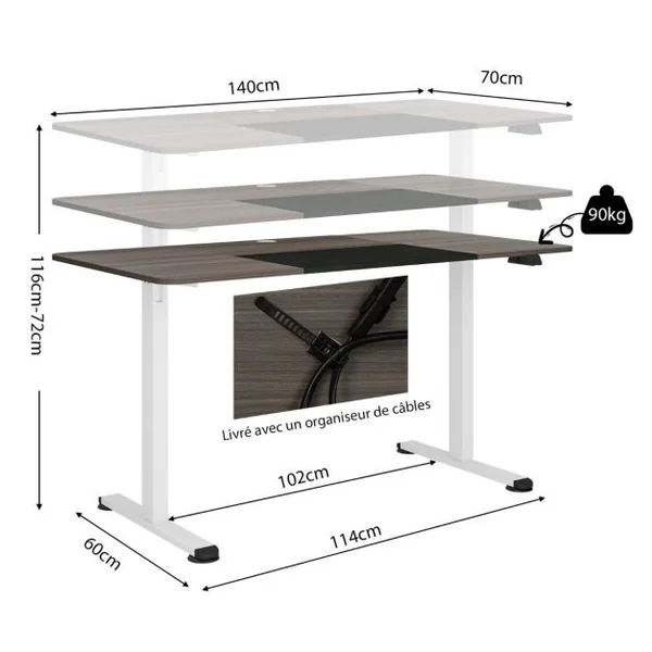 Bureau Debout Ergonomique à Hauteur Ajustable Électrique de 72-116 CM Moteur Puissant Panneau de Contrôle Gris