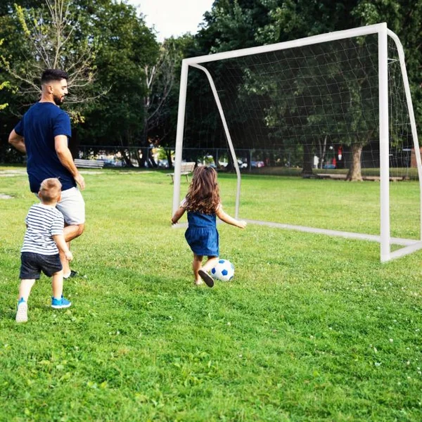 But de Football Exterieur 245 x 182 cm Cage de Foot avec Filet Résistant aux Intempéries et Cadre UPVC Piquets de Sol et Cônes de Football