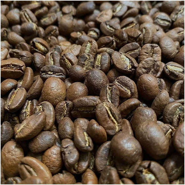 Café Krogen - Xochitl - Nicaragua - En grains