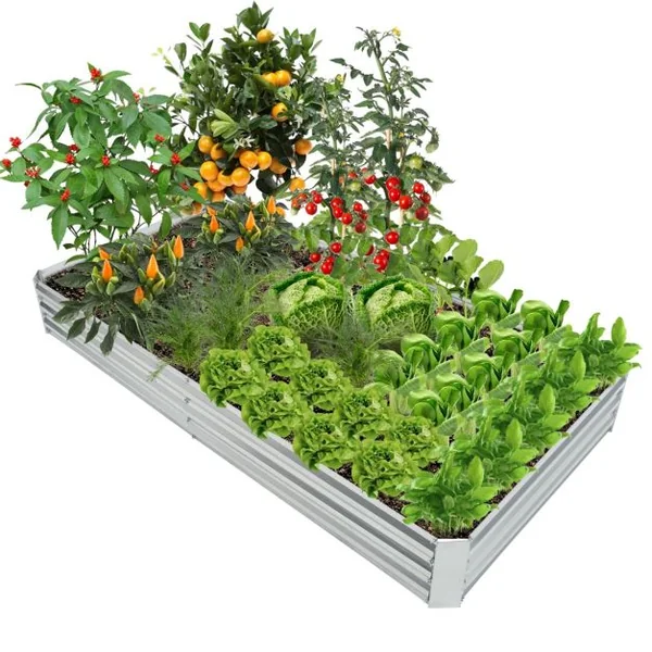 Carré Potager de Jardin Rectangulaire en Fer Galvanisé 242x122x30 CM Jardinière Surélevée Bac à Fleurs avec Base Ouverte