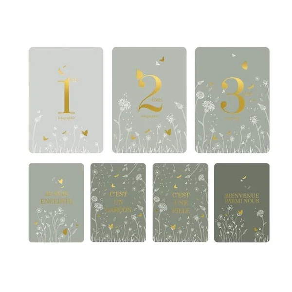 Cartes étape Céleste
