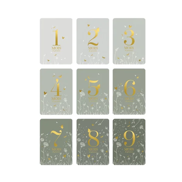 Cartes étape Céleste