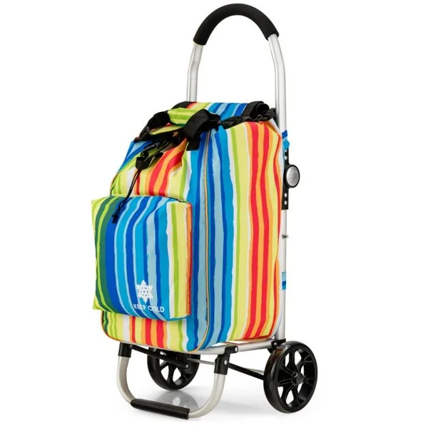 Chariot de Courses 3 en 1 Pliable 2 Roues 53L Sac Isotherme en Tissu Oxford Structure en Alliage d'Aluminium Multicolore