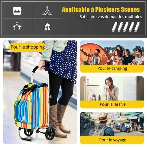 Chariot de Courses 3 en 1 Pliable 2 Roues 53L Sac Isotherme en Tissu Oxford Structure en Alliage d'Aluminium Multicolore