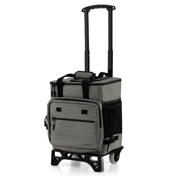 Chariot de Courses 40 L avec Sac Isotherme Étanche Poignée Extensible 2 Roues pour Camping Pique-niques Shopping Gris