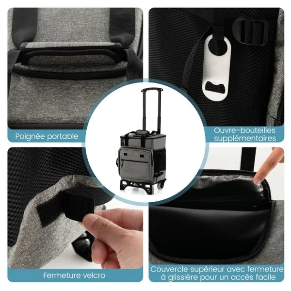 Chariot de Courses 40 L avec Sac Isotherme Étanche Poignée Extensible 2 Roues pour Camping Pique-niques Shopping Gris