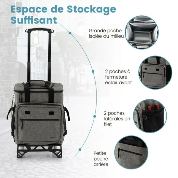 Chariot de Courses 40 L avec Sac Isotherme Étanche Poignée Extensible 2 Roues pour Camping Pique-niques Shopping Gris